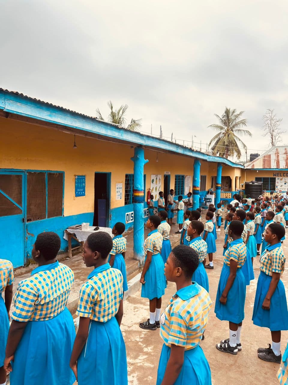 School Gallery